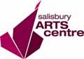 Salisbury Arts logo